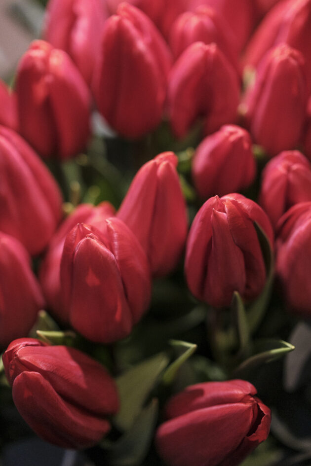 Le bouquet TULIPES ROUGES – Image 2